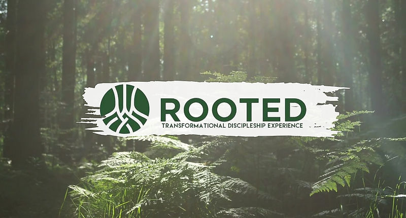 Homegroups Rooted